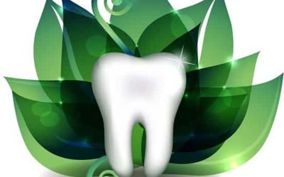 Unveiling the Truth: Holistic vs Traditional Dentistry