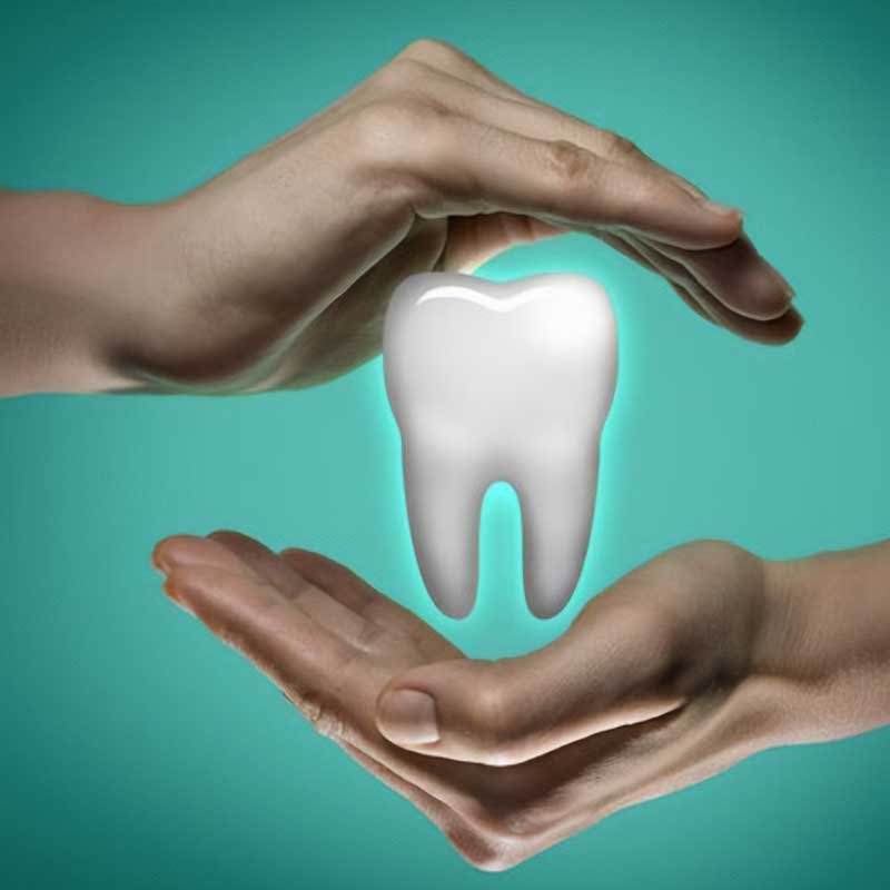 Your-Regular-Dentist-vs.-Holistic-Dentist-Decoded-n